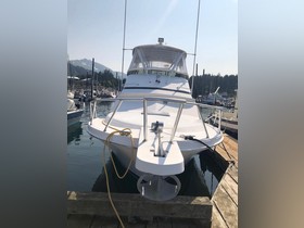 Buy 1994 Blackfin B-33 Sportfish