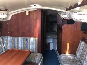1981 Catalina 30 til salgs