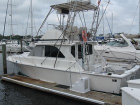 Buy 1978 Bertram 35 Convertible