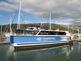 Custom Icarus Power Catamaran