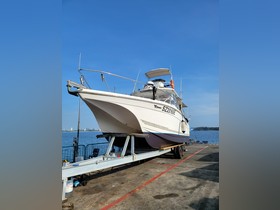 ProKat 3660 Sportfisher