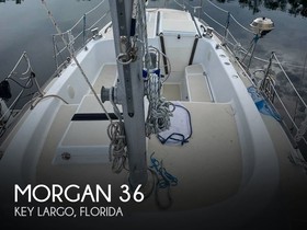 Morgan Yachts 36 Out Island