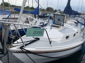 Buy Westerly Centaur