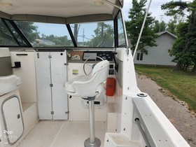 1997 Bayliner 2452 Ciera Express myytävänä