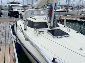 1984 Maxi/Petterson 'Maxi Magic