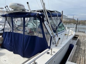 1992 Tiara Yachts 3100