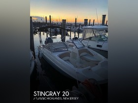 Stingray 20