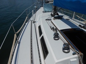 Acquistare 1984 Wylie Sloop