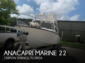 Anacapri Marine V230 Torino Cabin