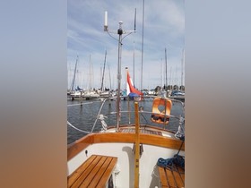 Koopmans Cormoran 31