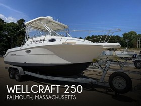 Wellcraft 250 Coastal