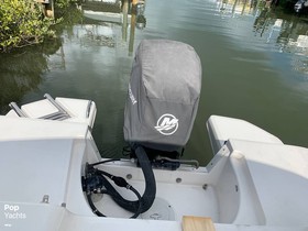 2017 Bayliner Element E21