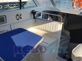 Buy 2001 Faeton Moraga 910