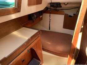 1980 Trapper Yachts 500 til salgs