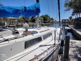 Αγοράστε 1981 C & C Yachts Cabin Cruiser