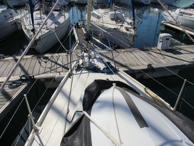 Buy 1978 Westerly 36 Conway