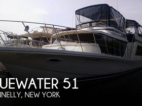Bluewater Yachts 51 Motoryacht