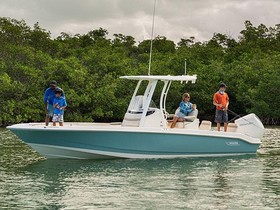 2023 Boston Whaler 250 Dauntless