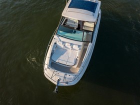 2023 Sea Ray Sundancer 320 Outboard kopen