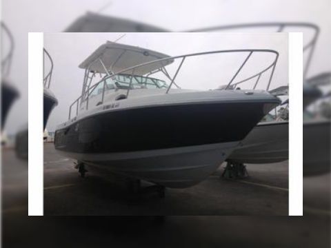 Robalo 305 Wa