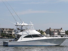 Viking 55 Convertible