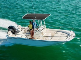 Boston Whaler 190 Montauk