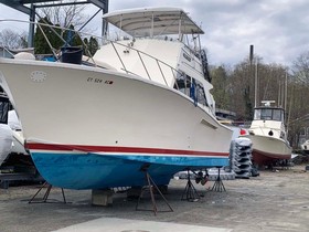 1974 Jersey Convertible Sportfish kaufen