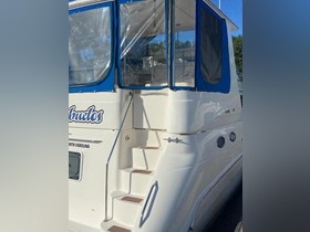 1997 Sea Ray 420 Aft Cabin kaufen