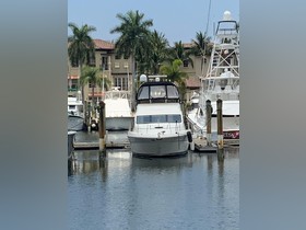 2004 Sea Ray 420 Sedan Bridge for sale