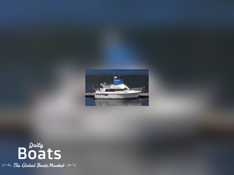 Bayliner bodega for sale Daily Boats