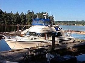Acheter 1980 Bayliner Bodega