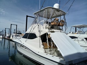 2010 Rampage 45 Convertible for sale