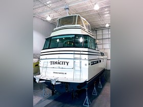 Comprar 1986 Bertram 58 Flybridge Motor Yacht