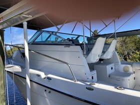 Buy 2000 Robalo
