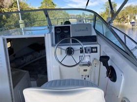 Buy 2000 Robalo