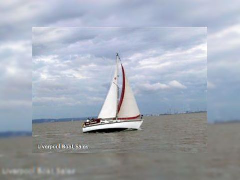 Macwester 26