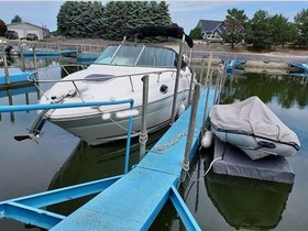 Buy 2012 Sea Ray Boats 240 Sundancer
