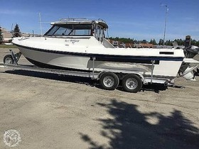 Olympic 260 Cabin Cruiser