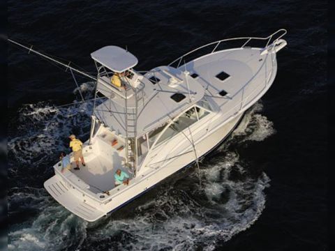 Buy 2007 Luhrs Open