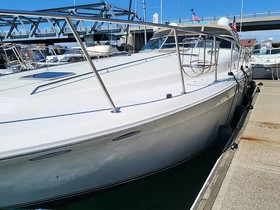 Buy 1993 Sea Ray Boats 500 Sundancer