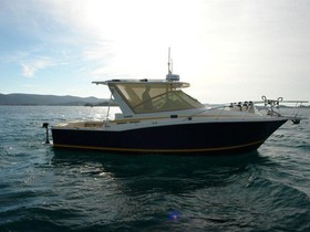 Cabo Boats 31