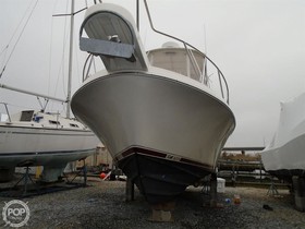 Kjøpe 1988 Nuova Jolly 29 Flybridge