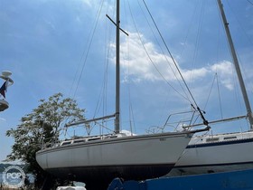 Catalina Yachts 30 Tall Rig