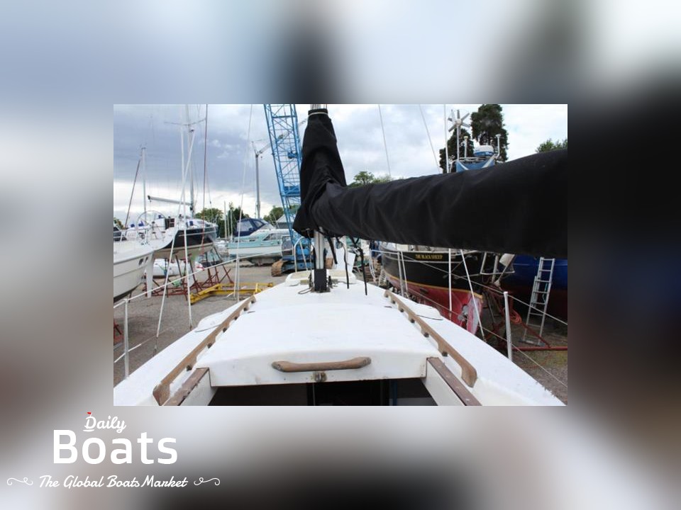 Snapdragon 24 for sale. View price, photos and Buy Snapdragon 24 349271