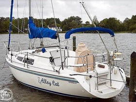 Catalina Yachts 270