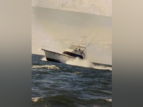 1981 Hatteras Yachts 50 Convertible