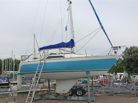 Oyster 26