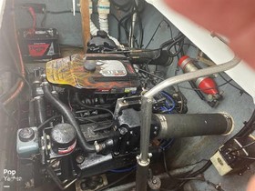 1988 Formula 242 til salg