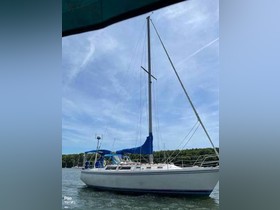 Catalina Yachts 34