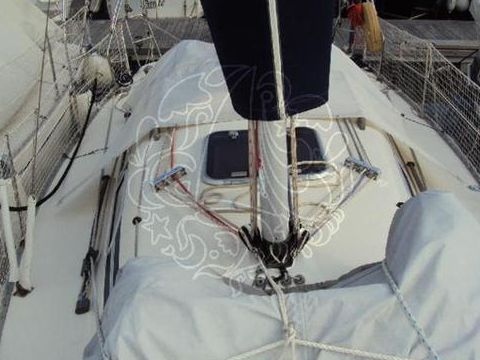 Elan 295